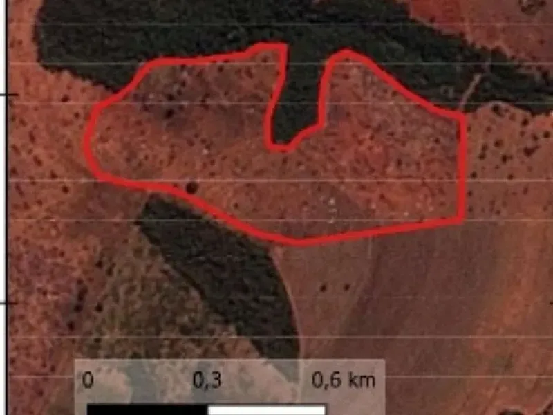 Imagem de compartilhamento para o artigo MP instala inquérito para apurar desmatamento de 324 hectares de vegetação em Paranaíba; Multa pode chegar a R$ 568mil da MS Todo dia